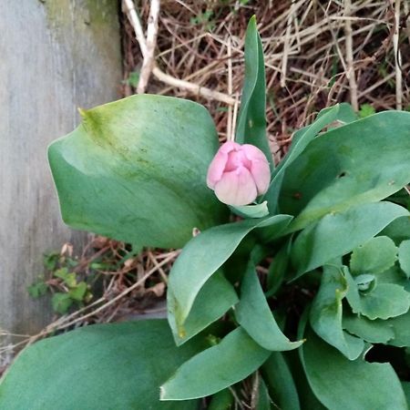 PeauleChez Claudine别墅 外观 照片