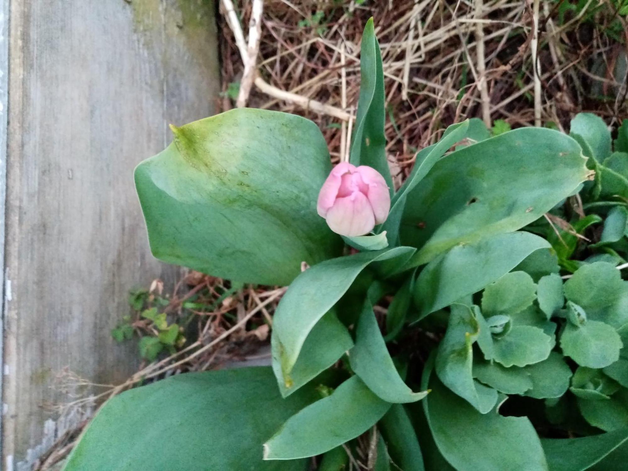 PeauleChez Claudine别墅 外观 照片